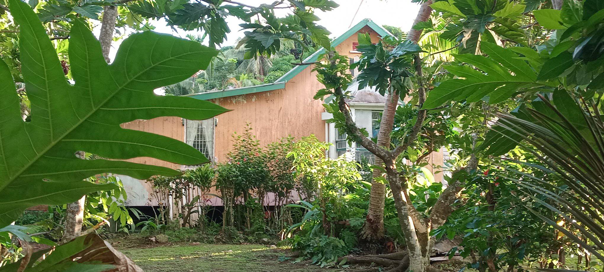 Alice's BnB Levuka exterior through tropical garden